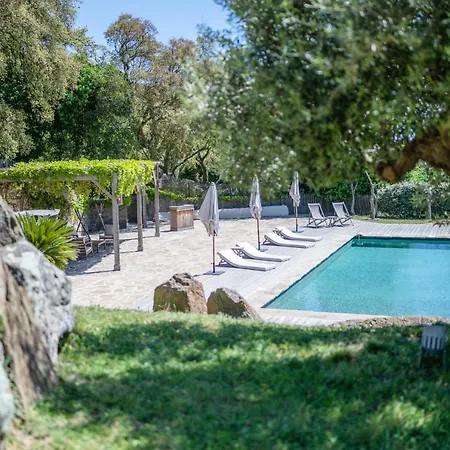 Relais Du Vieux Sauvaire Holiday home Le Lavandou