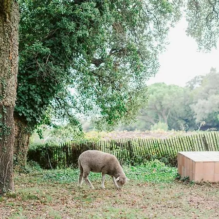 Vakantiehuis Relais Du Vieux Sauvaire *