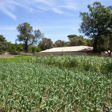 Casa de Férias Relais Du Vieux Sauvaire *
