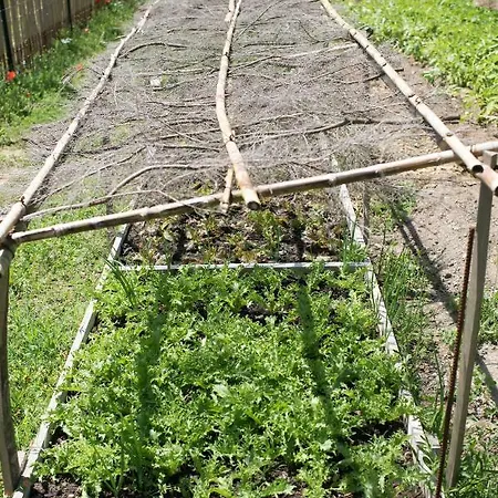 Relais Du Vieux Sauvaire