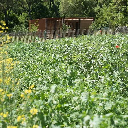 Relais Du Vieux Sauvaire Vakantiehuis *